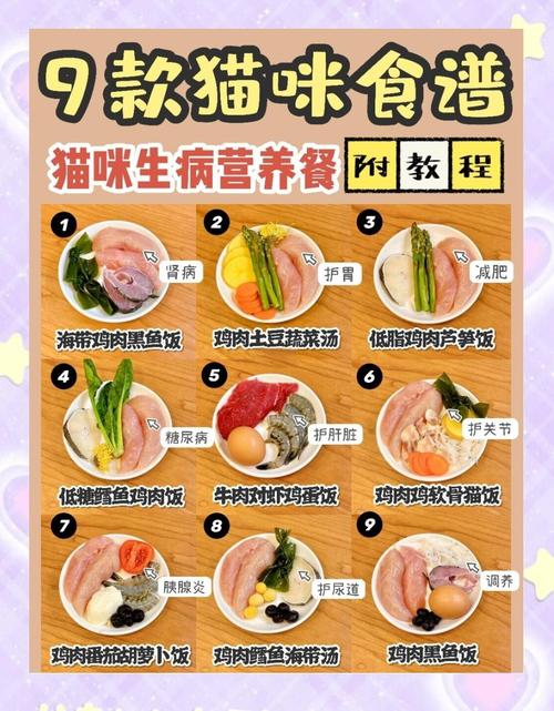 母乳奶粉到辅食如何科学喂养(没断奶的猫除了奶粉可以吃什么) 母乳奶粉到辅食如何科学喂养(没断奶的猫除了奶粉可以吃什么)