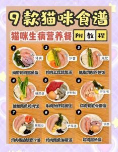 母乳奶粉到辅食如何科学喂养（没断奶的猫除了奶粉可以吃什么）