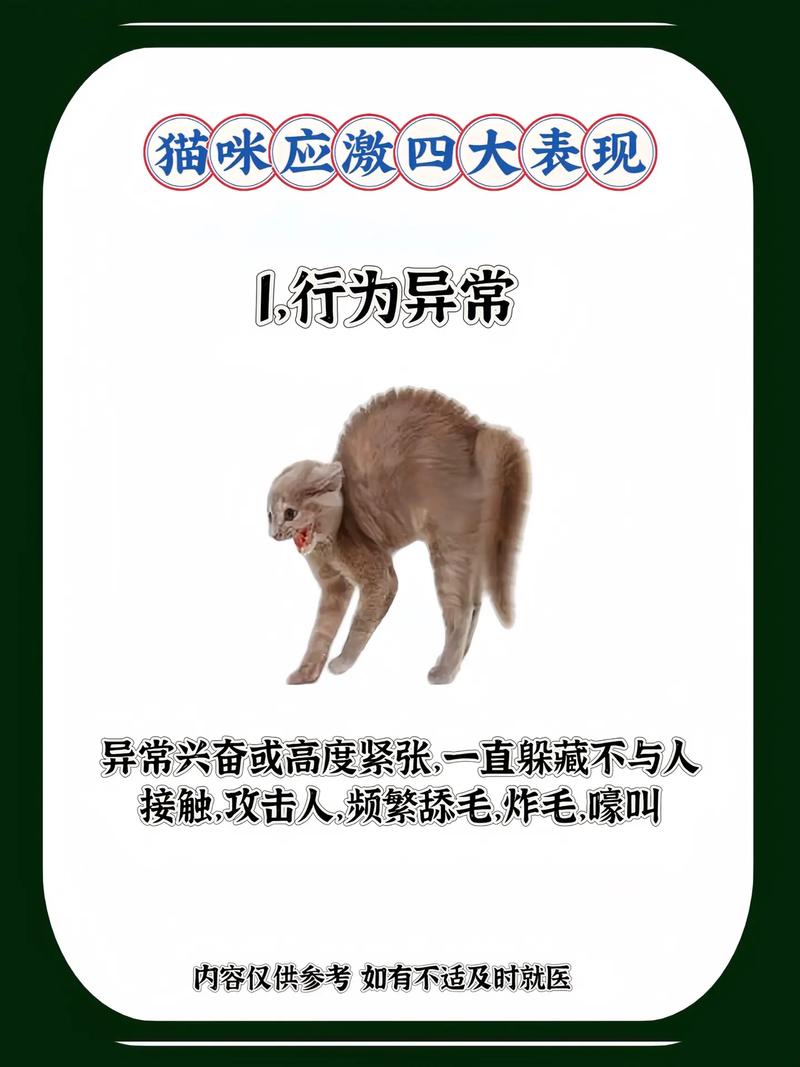 视觉隔离气味安抚规律作息(猫咪应激的解决方法) 视觉隔离气味安抚规律作息(猫咪应激的解决方法)