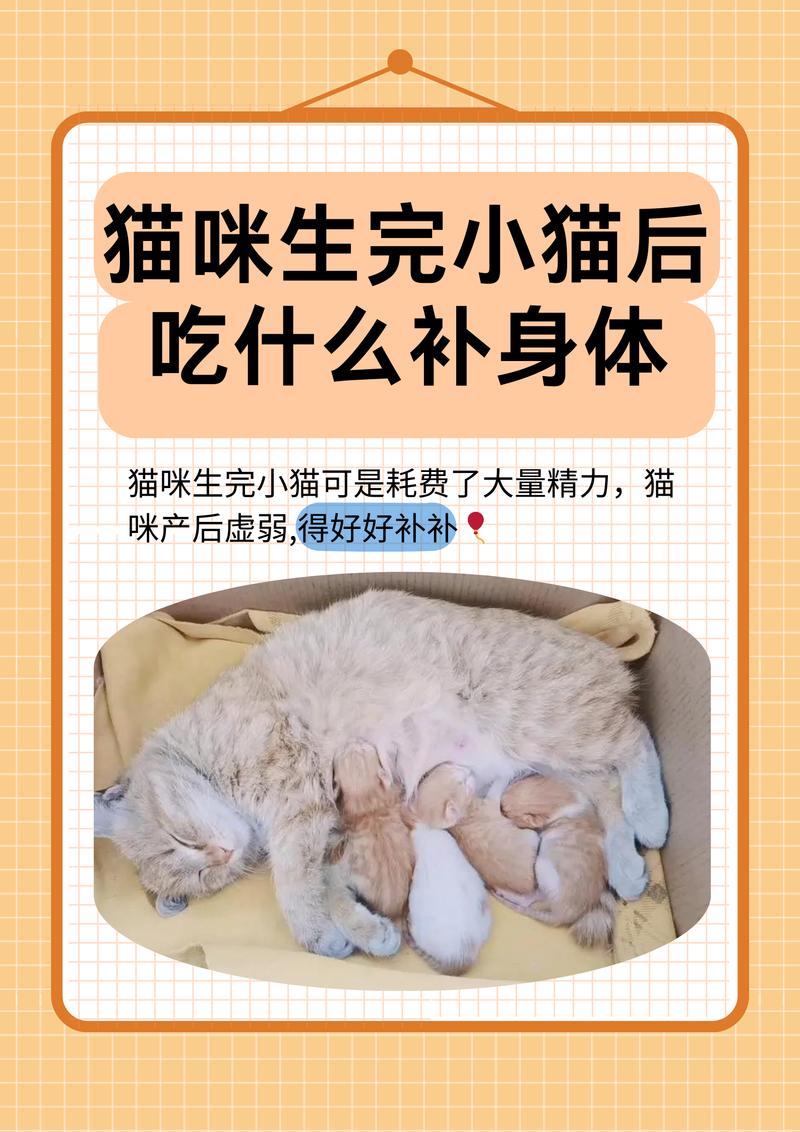 小猫能吃鸡蛋黄,助成长,蛋白风险大,壳不能吃(小猫吃鸡黄好还是蛋白好) 小猫能吃鸡蛋黄,助成长,蛋白风险大,壳不能吃(小猫吃鸡黄好还是蛋白好)