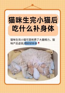 小猫能吃鸡蛋黄，助成长，蛋白风险大，壳不能吃（小猫吃鸡黄好还是蛋白好）