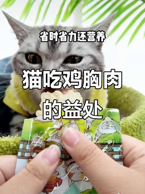鸡肉菠菜营养好,猫咪小狗适量喂(小猫吃鸡胸肉的好处和坏处) 鸡肉菠菜营养好,猫咪小狗适量喂(小猫吃鸡胸肉的好处和坏处)