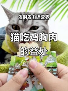 鸡肉菠菜营养好，猫咪小狗适量喂（小猫吃鸡胸肉的好处和坏处）