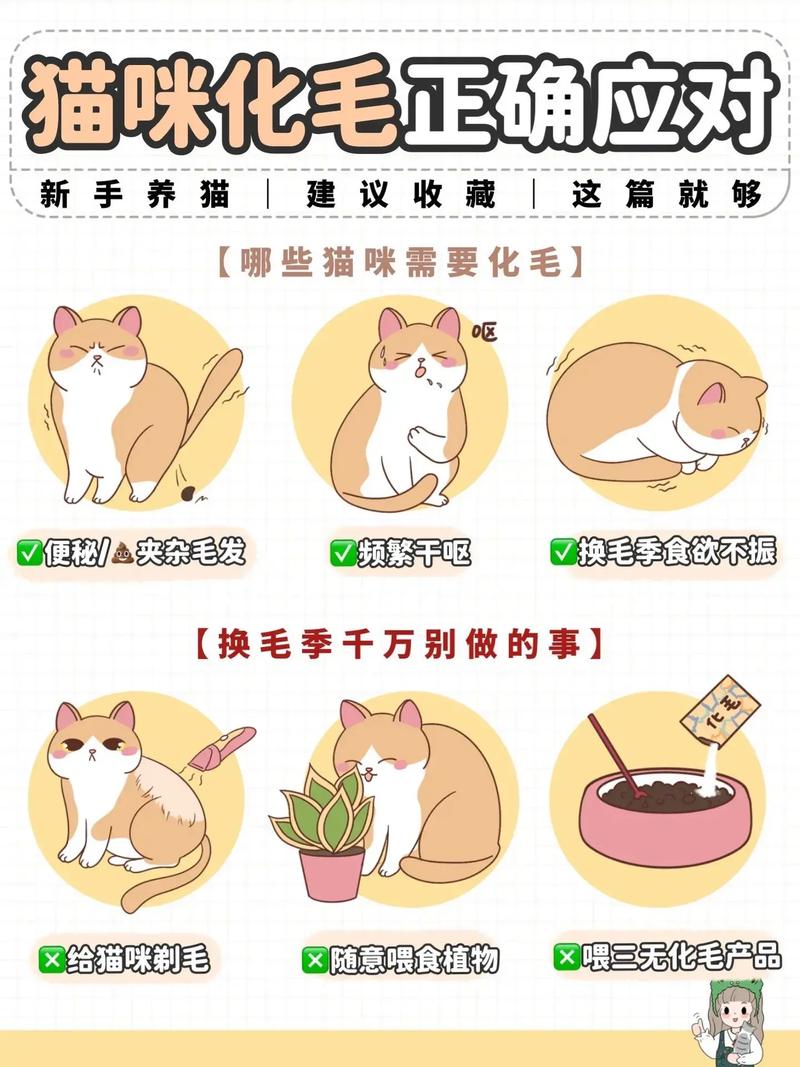 多种方法助猫咪化毛,预防毛球(猫化毛的最佳方法有哪些) 多种方法助猫咪化毛,预防毛球(猫化毛的最佳方法有哪些)
