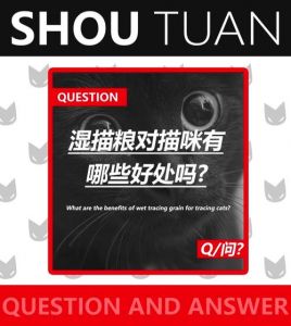 猫咪爱吃湿粮不吃干粮怎么办？（猫咪只吃湿粮不吃干粮怎么办）