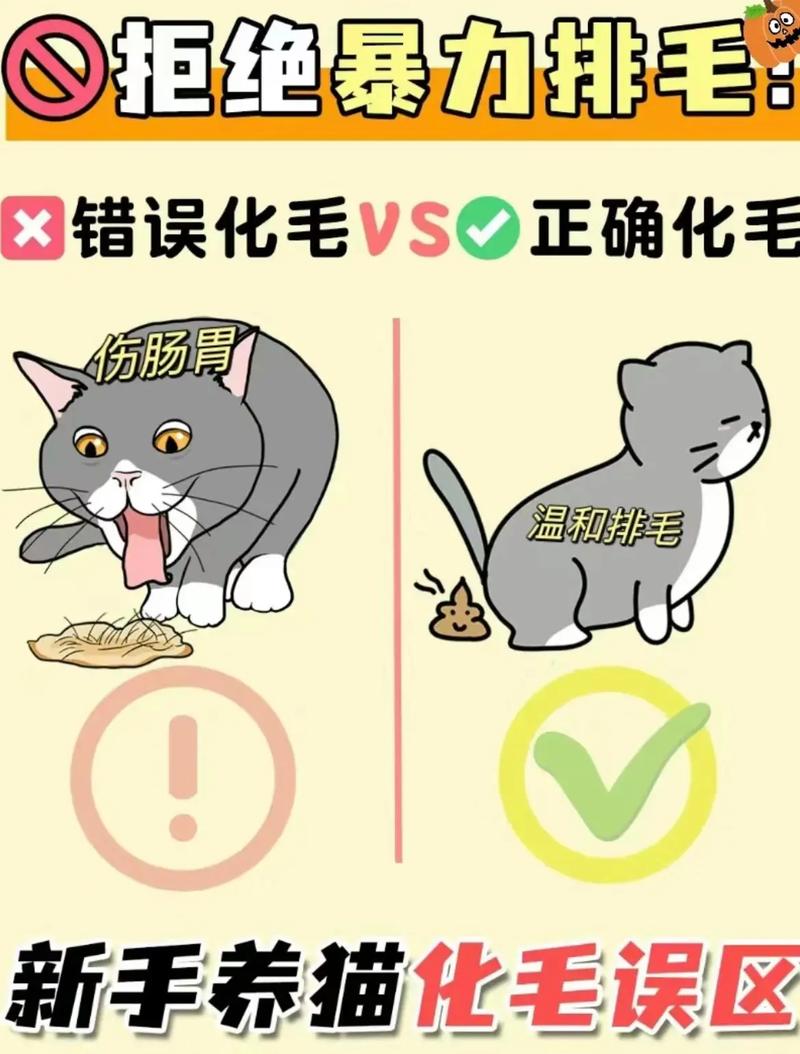 梳毛洗澡均衡饮食,猫咪排毛全面护理(猫咪排毛最好的方法) 梳毛洗澡均衡饮食,猫咪排毛全面护理(猫咪排毛最好的方法)