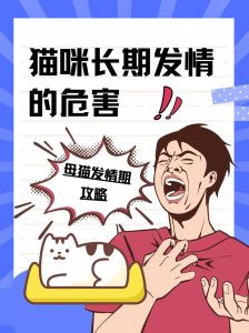 玩耍愤怒保护或疼痛？（母猫一直警告人怎么办）