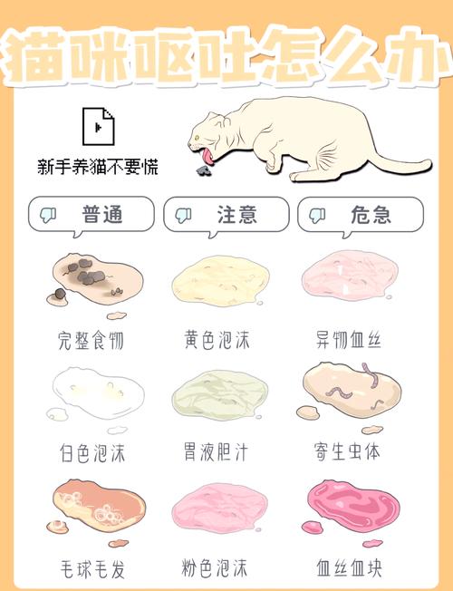 猫咪呕吐怎么办?速看应对指南!(猫咪呕吐最快解决办法) 猫咪呕吐怎么办?速看应对指南!(猫咪呕吐最快解决办法)