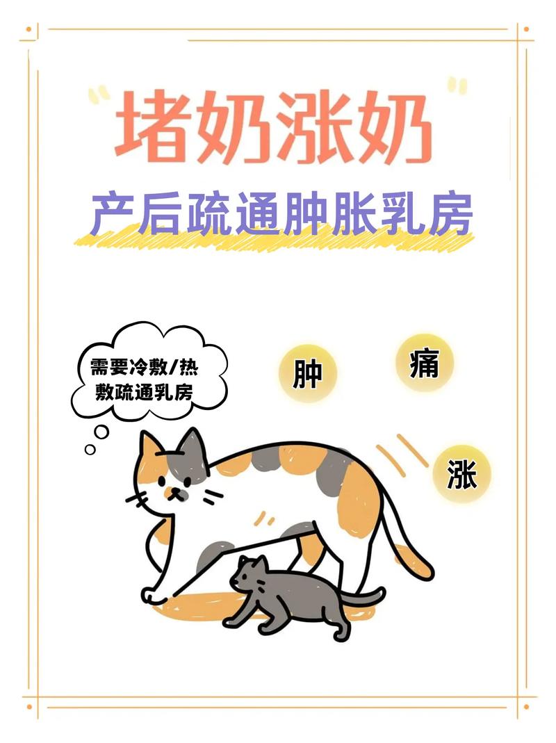 产后猫咪涨奶别慌,温敷挤奶逐步人工喂养(猫咪涨奶最快解决办法) 产后猫咪涨奶别慌,温敷挤奶逐步人工喂养(猫咪涨奶最快解决办法)