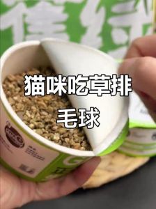 猫咪掉毛多？化毛球食补加梳毛（猫咪吃什么排毛比较好）