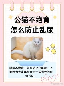 未绝育公猫烦恼多，健康性格都受影响！（公猫一直不绝育会怎么样）