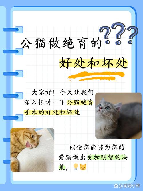 绝育公猫变温顺,减少夜嚎乱尿,注意饮食防胖(绝育对公猫的好处和坏处) 绝育公猫变温顺,减少夜嚎乱尿,注意饮食防胖(绝育对公猫的好处和坏处)