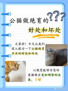 绝育猫粮推荐，告别肥胖烦恼（宠物公猫做绝育的好处和坏处）