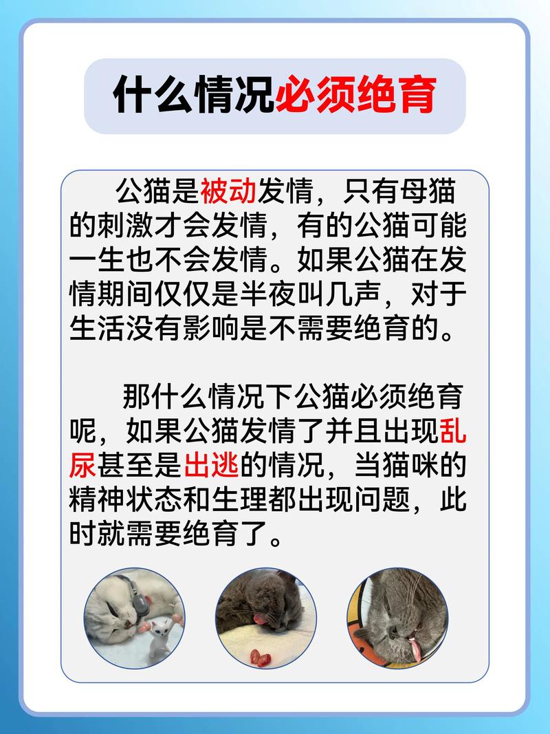 产后俩月再绝育,母猫健康有保障(猫没有回完奶可以绝育吗) 产后俩月再绝育,母猫健康有保障(猫没有回完奶可以绝育吗)