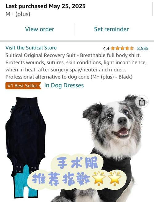 利弊要权衡(小狗绝育的好处坏处公狗10个月) 利弊要权衡(小狗绝育的好处坏处公狗10个月)