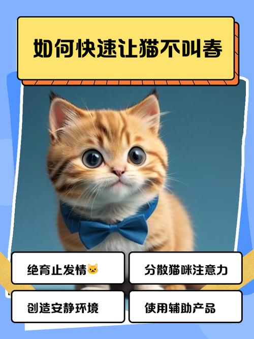 春季猫咪发情嚎叫乱尿?试试这几招!(猫咪闹春最快解决方法) 春季猫咪发情嚎叫乱尿?试试这几招!(猫咪闹春最快解决方法)
