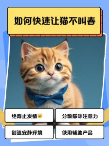 春季猫咪发情嚎叫乱尿？试试这几招！（猫咪闹春最快解决方法）