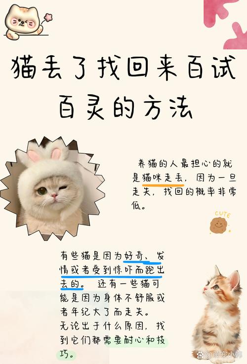 寻猫别追!深夜放气味衣物猫粮是好方法(猫跑出去了怎么用最快的方法让他们回来) 寻猫别追!深夜放气味衣物猫粮是好方法(猫跑出去了怎么用最快的方法让他们回来)