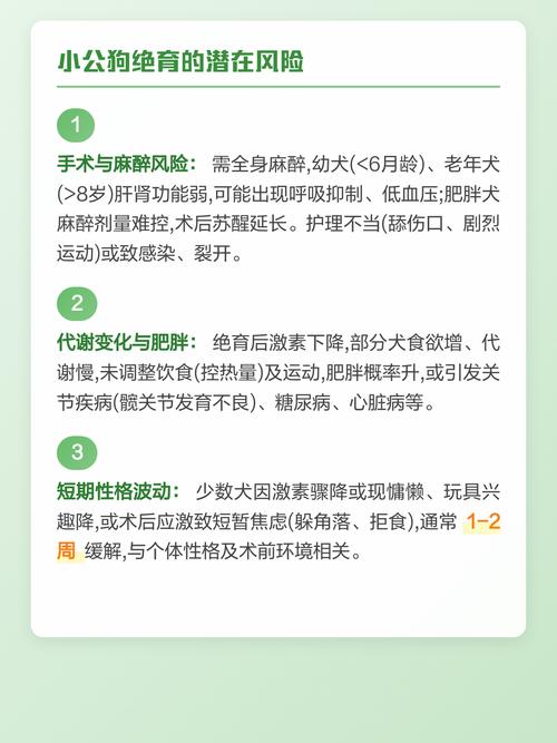 公狗绝育利弊多,改善行为但需权衡风险(公狗做绝育好处和坏处) 公狗绝育利弊多,改善行为但需权衡风险(公狗做绝育好处和坏处)