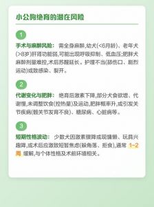 公狗绝育利弊多，改善行为但需权衡风险（公狗做绝育好处和坏处）