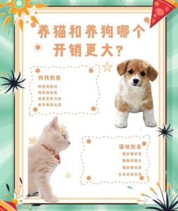 煮熟适量，健康添彩！（菠菜对猫猫狗狗的好处和坏处）