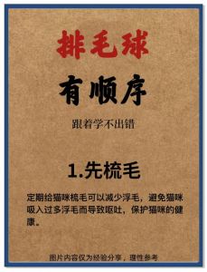 勤梳毛调饮食，科学防猫毛球（给猫排毛球最好的方法）