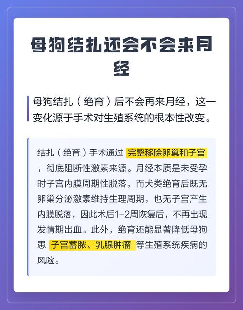 母狗结扎更温顺,健康风险低,但要注意饮食防胖(母狗结扎的好处和坏处) 母狗结扎更温顺,健康风险低,但要注意饮食防胖(母狗结扎的好处和坏处)