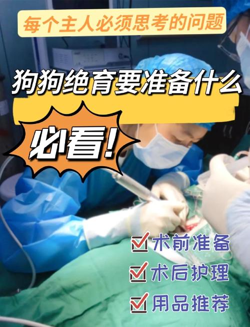 利弊分析,如何选择?(狗狗一定要绝育吗) 利弊分析,如何选择?(狗狗一定要绝育吗)