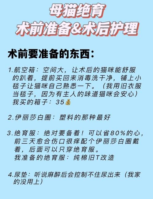小猫绝育费用800-2000元,选对医院很重要!(小母猫绝育手术多少钱) 小猫绝育费用800-2000元,选对医院很重要!(小母猫绝育手术多少钱)