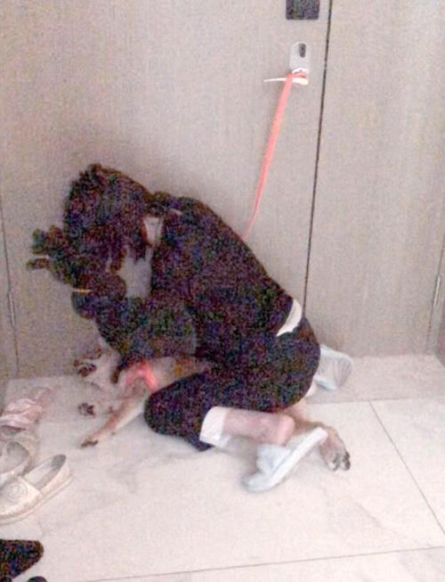 被狗咬了怎么办?自救妙招来了!(母狗锁住人最简单处理方法) 被狗咬了怎么办?自救妙招来了!(母狗锁住人最简单处理方法)