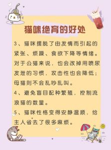 猫咪绝育好处多，健康性格都变好！（给猫咪做绝育的好处和坏处）