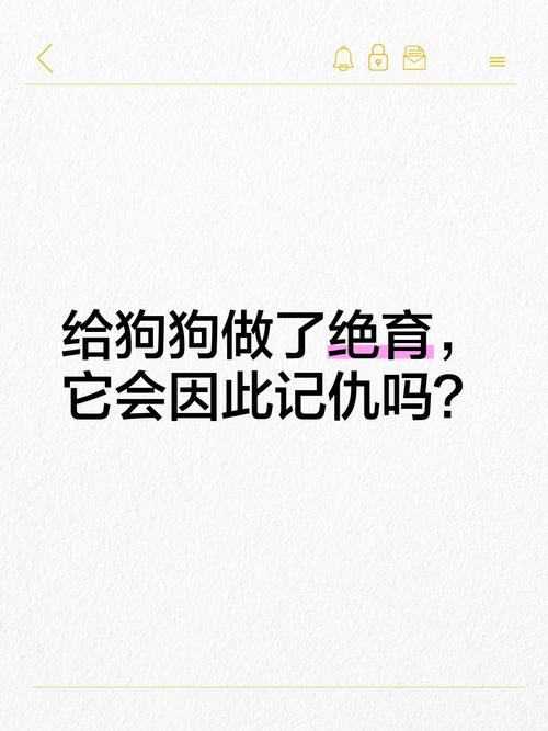 绝育狗狗不记恨,主人多关爱陪伴(养的狗狗绝育会记恨主人吗) 绝育狗狗不记恨,主人多关爱陪伴(养的狗狗绝育会记恨主人吗)