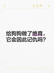 绝育狗狗不记恨，主人多关爱陪伴（养的狗狗绝育会记恨主人吗）