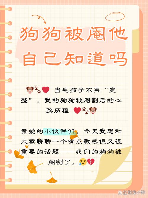 公狗绝育后性格变温顺,但需时间适应(狗割了蛋蛋会变乖吗) 公狗绝育后性格变温顺,但需时间适应(狗割了蛋蛋会变乖吗)
