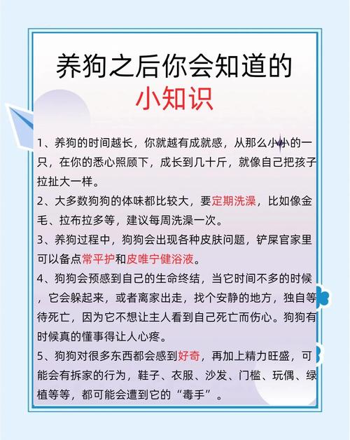 甜蜜负担,幸福相伴(养宠物狗的好处和坏处) 甜蜜负担,幸福相伴(养宠物狗的好处和坏处)