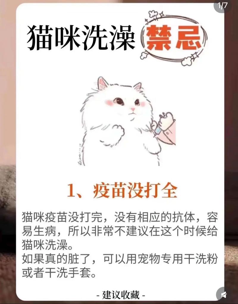 臭氧对猫安全吗?需谨慎使用(臭氧对猫咪的好处与坏处) 臭氧对猫安全吗?需谨慎使用(臭氧对猫咪的好处与坏处)