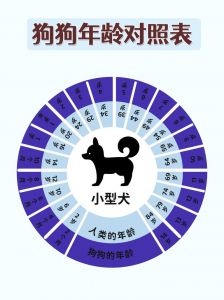 狗狗成长快寿命差，老年期如人六十岁（狗一年相当于人几年）