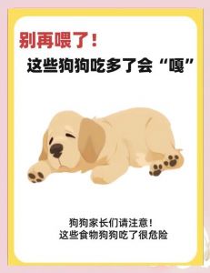 狗狗挑食怎么办？科学喂养改善挑食（狗狗挑食怎么让他不挑）