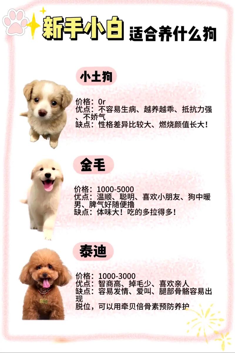 狗狗被气味吸引,羊奶粉看成分,安乐是慈悲(有见过狗狗会自己挑选管家的吗) 狗狗被气味吸引,羊奶粉看成分,安乐是慈悲(有见过狗狗会自己挑选管家的吗)