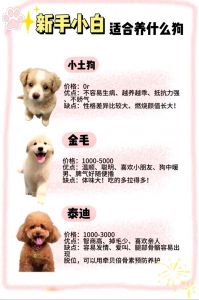 狗狗被气味吸引，羊奶粉看成分，安乐是慈悲（有见过狗狗会自己挑选管家的吗）