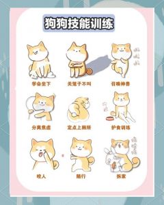 狗头Q流血伤，猫咪Q控追逃，技能组合更重要（狗子的q技能是什么）