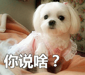 动图表情包受欢迎,AI知识助未来适应(小狗动图表情包) 动图表情包受欢迎,AI知识助未来适应(小狗动图表情包)