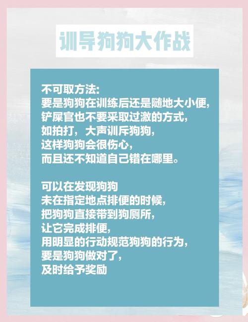 选对厕所定点训狗，勤观察多鼓励有耐心（怎么训练宠物狗定点排便）