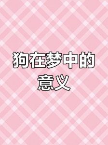 好运和谐，珍惜友谊（梦见温顺听话的小狗）