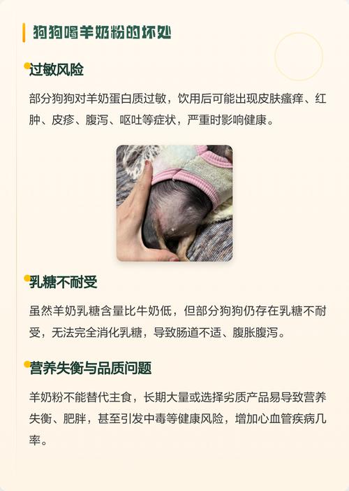 羊奶粉营养好,易消化,增强免疫,适合敏感狗狗(羊奶粉对狗狗的好处) 羊奶粉营养好,易消化,增强免疫,适合敏感狗狗(羊奶粉对狗狗的好处)