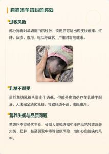 羊奶粉营养好，易消化，增强免疫，适合敏感狗狗（羊奶粉对狗狗的好处）