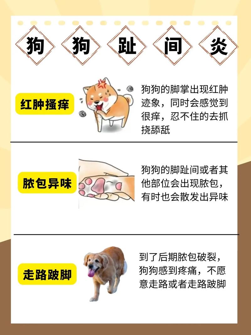 狗狗爪子受伤怎么办?(狗狗爪爪被刺扎了挑不就来怎么办) 狗狗爪子受伤怎么办?(狗狗爪爪被刺扎了挑不就来怎么办)