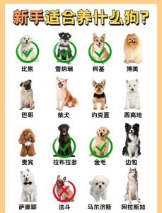 金毛拉布拉多，适合有小孩家庭（什么品种的狗狗最好养最温顺）
