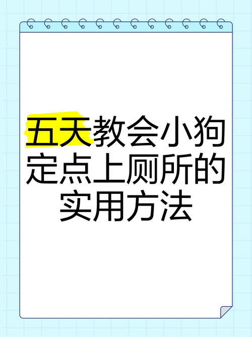 选活泼小狗,健康机构买,耐心训,共同成长(怎么挑教小狗) 选活泼小狗,健康机构买,耐心训,共同成长(怎么挑教小狗)