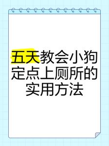 选活泼小狗，健康机构买，耐心训，共同成长（怎么挑教小狗）